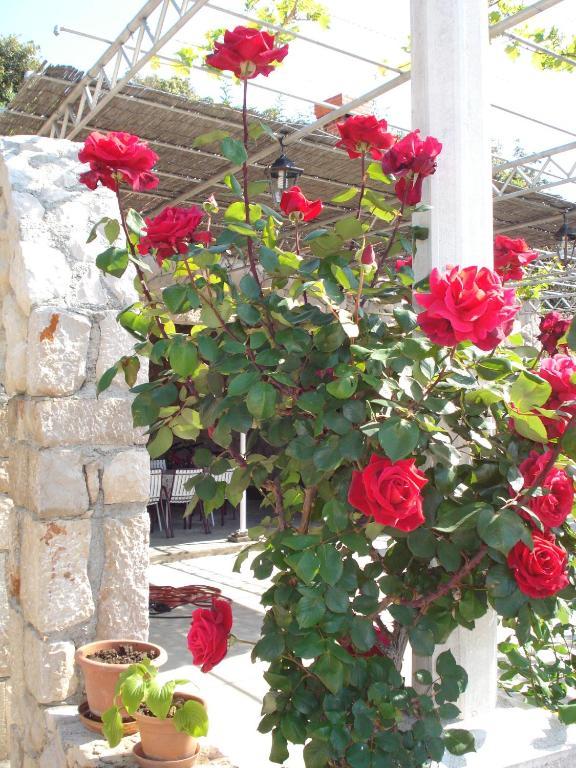 Tri Sestre Rooms Ντουμπρόβνικ Εξωτερικό φωτογραφία