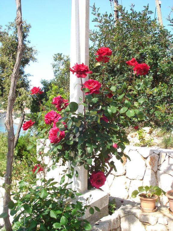 Tri Sestre Rooms Ντουμπρόβνικ Εξωτερικό φωτογραφία